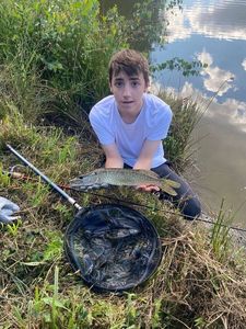 Northern Pike