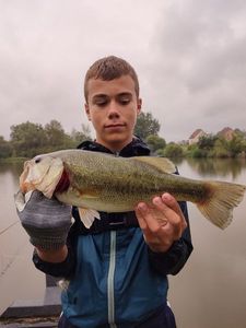 Smallmouth Bass