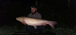 Grass Carp