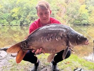 Mirror Carp