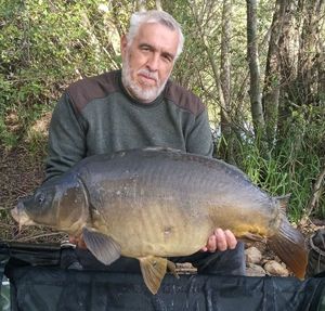 Mirror Carp