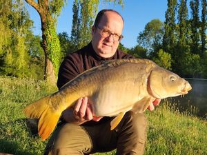 Mirror Carp