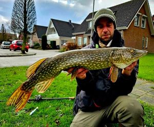 Northern Pike