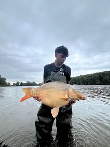 Mirror Carp