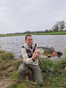 Largemouth Bass