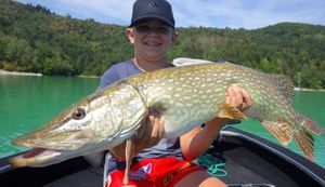 Northern Pike