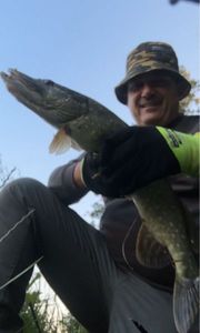 Northern Pike