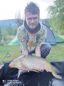 Mirror Carp