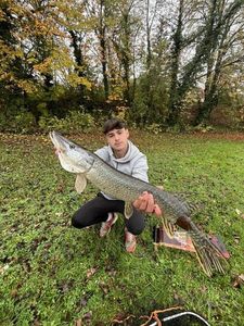 Northern Pike