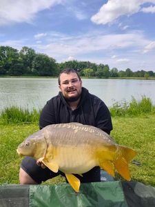 Mirror Carp