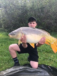 Mirror Carp