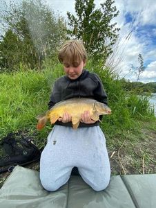 Mirror Carp