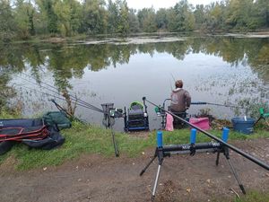 Crucian Carp