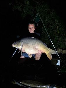 Mirror Carp