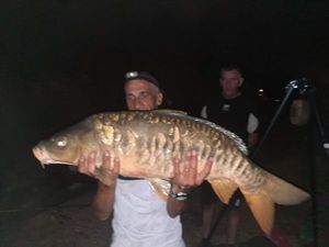 Mirror Carp