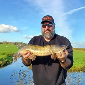 Northern Pike