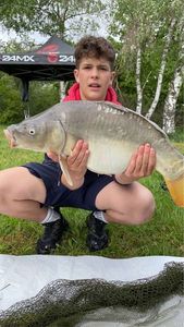 Mirror Carp