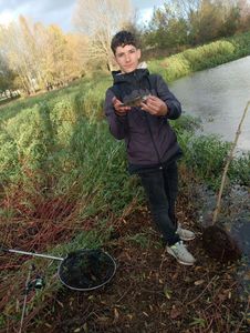 European Perch