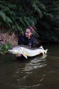 Sturgeon