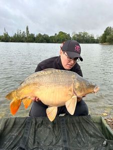 Mirror Carp