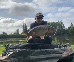Common Carp