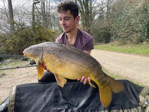 Mirror Carp