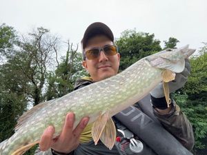 Northern Pike