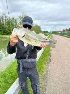 Smallmouth Bass