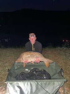 Common Carp