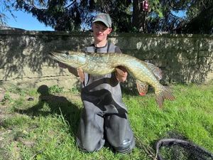 Northern Pike