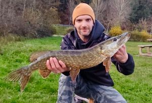 Northern Pike