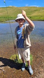 Rainbow Trout