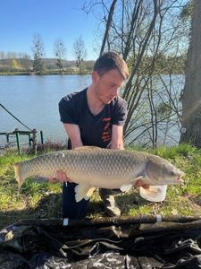 Grass Carp