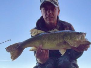 Largemouth Bass