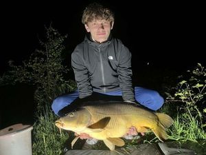 Mirror Carp
