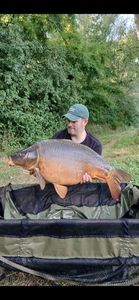 Mirror Carp