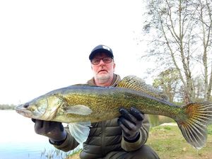 Zander