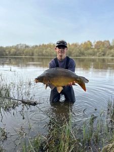 Mirror Carp
