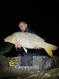 Leather Carp