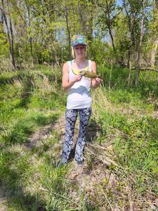 Smallmouth Bass