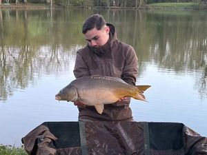 Mirror Carp