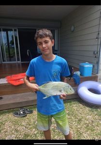 Crevalle Jack