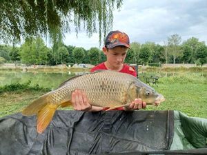 Common Carp