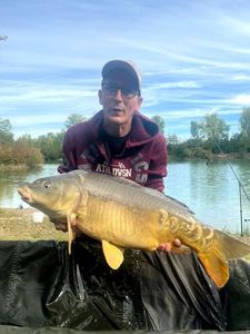 Mirror Carp