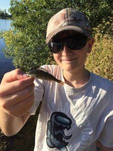 European Perch