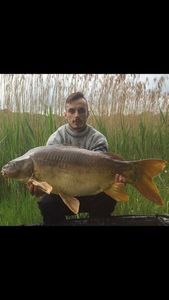 Leather Carp