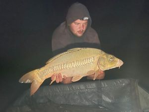 Mirror Carp