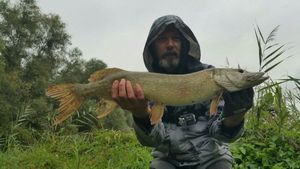 Northern Pike