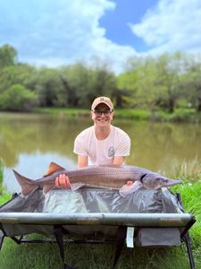 Sturgeon