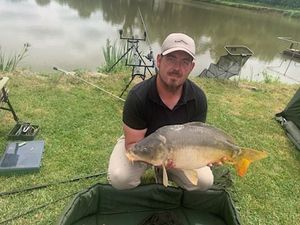 Mirror Carp